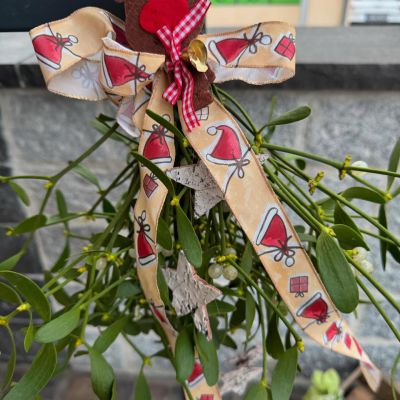 Wir sind bis Heilig Abend 12 Uhr wie gewohnt für Sie da 🎄🎄🎄🎄 Noch auf der Suche nach einem kleinen Geschenk?! 🎁 Lassen Sie sich bei uns inspirieren 🎁