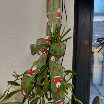 🎄🎄Noch auf der Suche nach einem kleinen Weihnachtsgeschenk für einen lieben Menschen?! 🎄🎄Unser Floristenteam ist täglich kreativ…