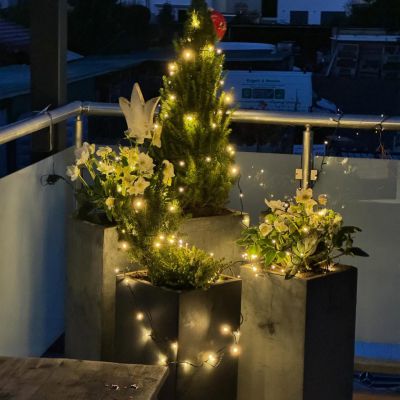 Ihnen Allen wünschen wir einen schönen 1. Advent und bedanken uns bei unserem tollen Team für deren Einsatz ✨💫⭐️